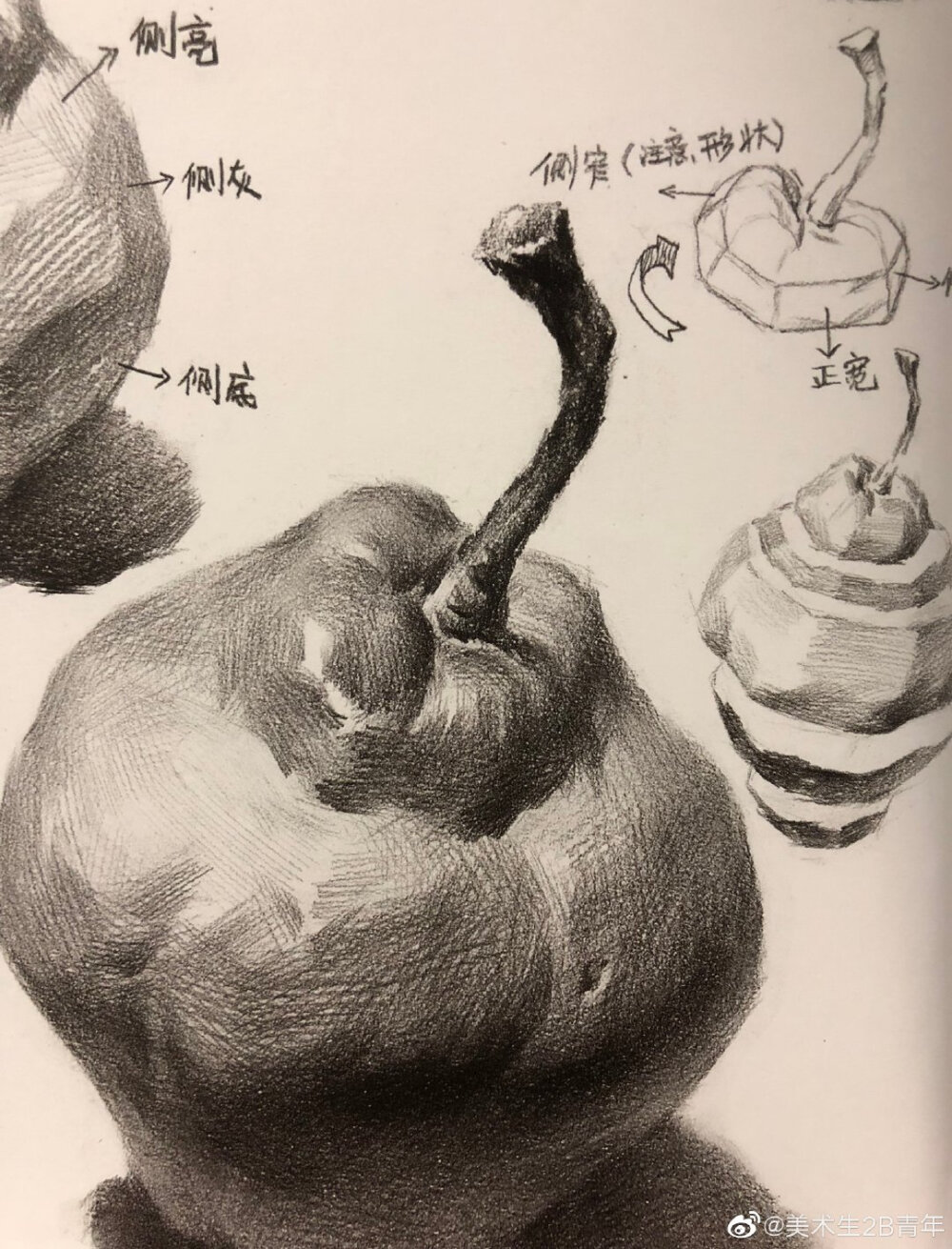 水果素描结构分析。