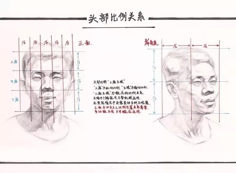 头部素描结构解析。