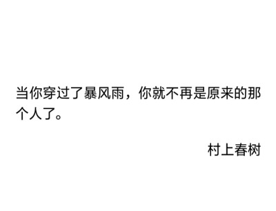 当你穿过了暴风雨，你就不再是原来的那个人了。
——村上春树