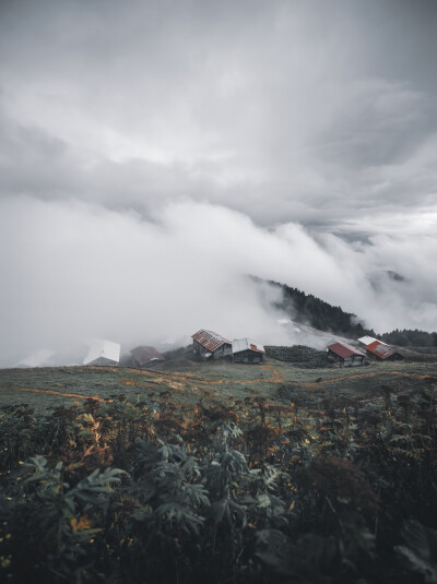 风景 图源BoBoPic