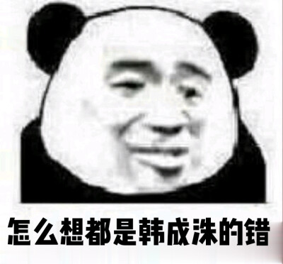 追星 表情包