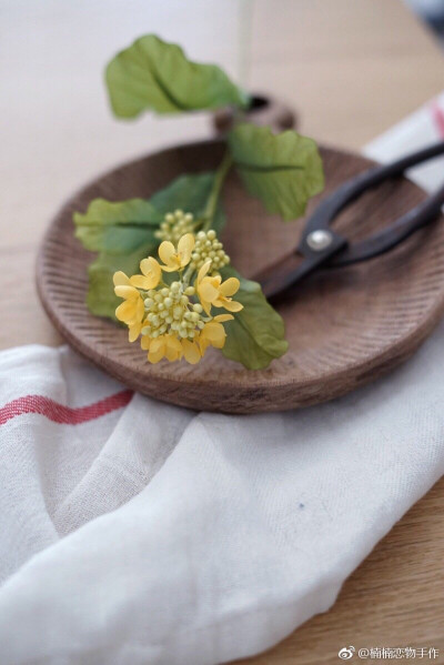 饭田深雪 油菜花