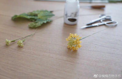 饭田深雪 油菜花