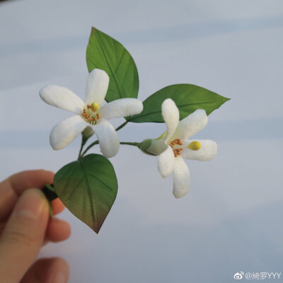 饭田深雪 烫花