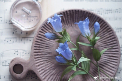 饭田深雪 烫花