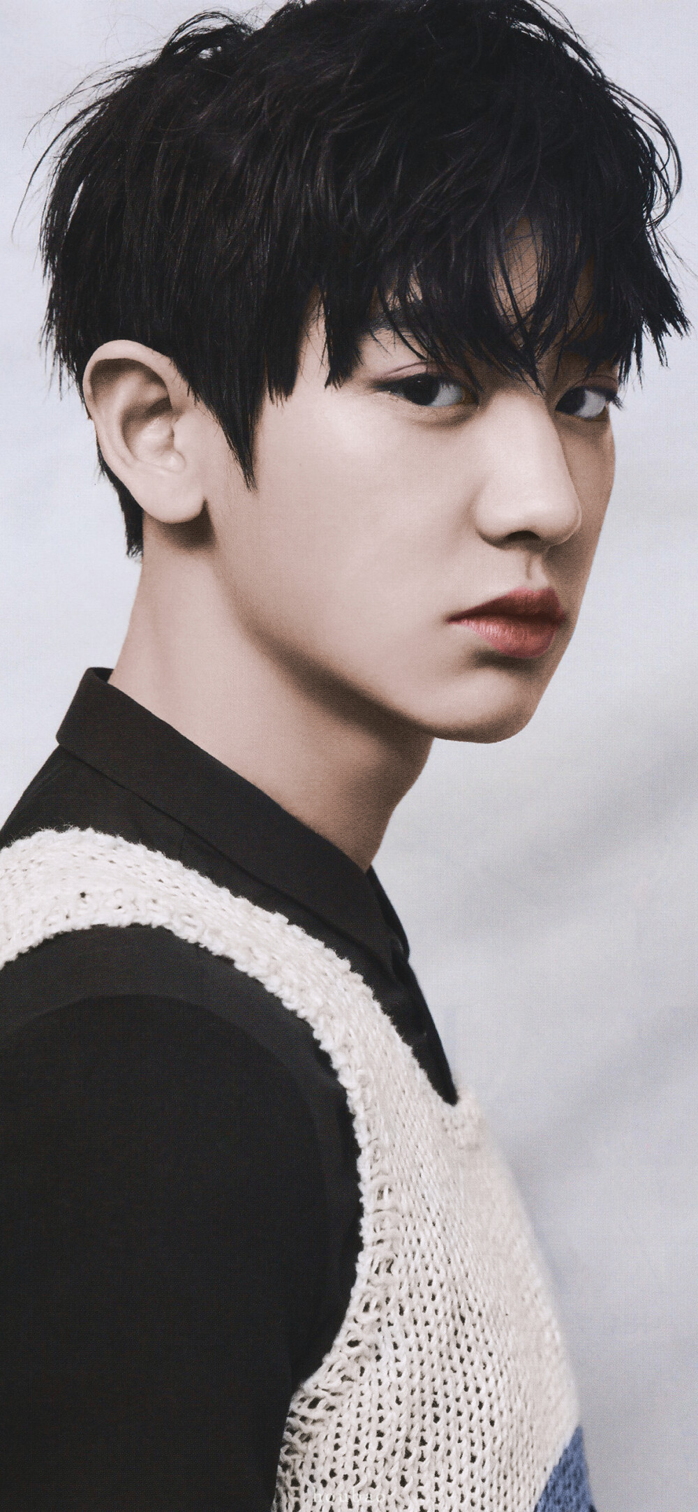 exo朴灿烈cr朴猴宝