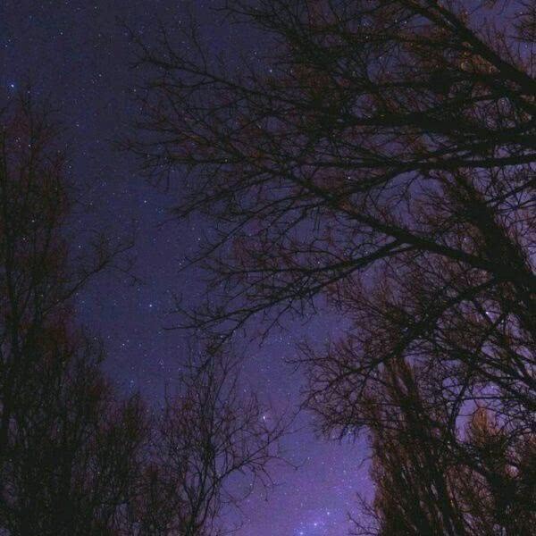 ⅞我不坚强，我又没比别人多一颗心