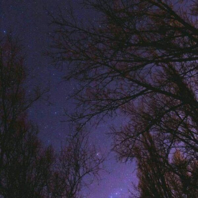 ⅞我不坚强，我又没比别人多一颗心