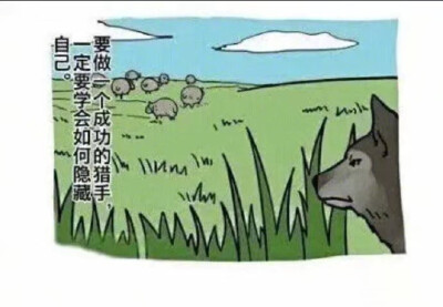 沙雕狼