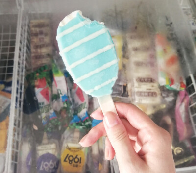 『海盐奶酪冰淇淋』
蓝色巧克力外壳有点口怕，内层冰淇淋咸中带甜还可以。