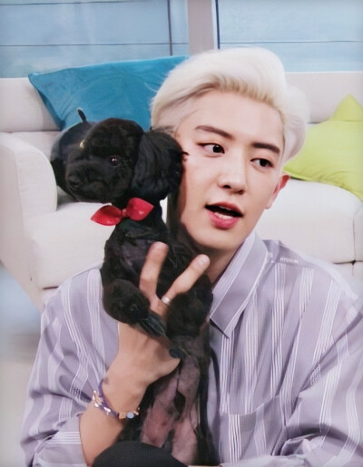 exo朴灿烈高清壁纸
我的小电视V2