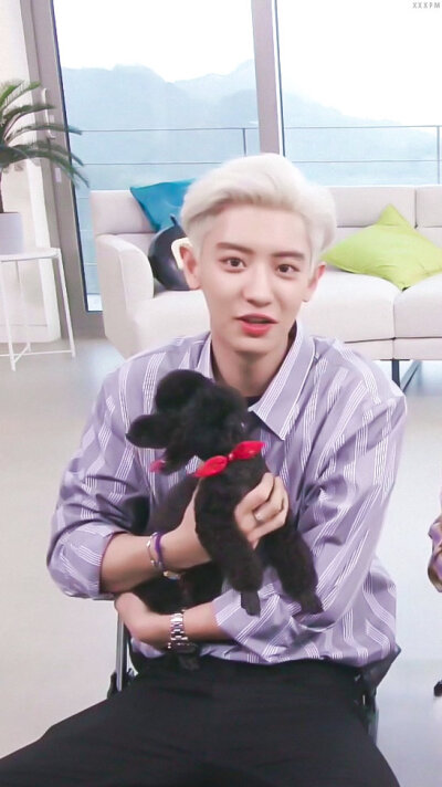 exo朴灿烈高清壁纸
我的小电视V2