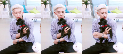 exo朴灿烈高清壁纸
我的小电视V2