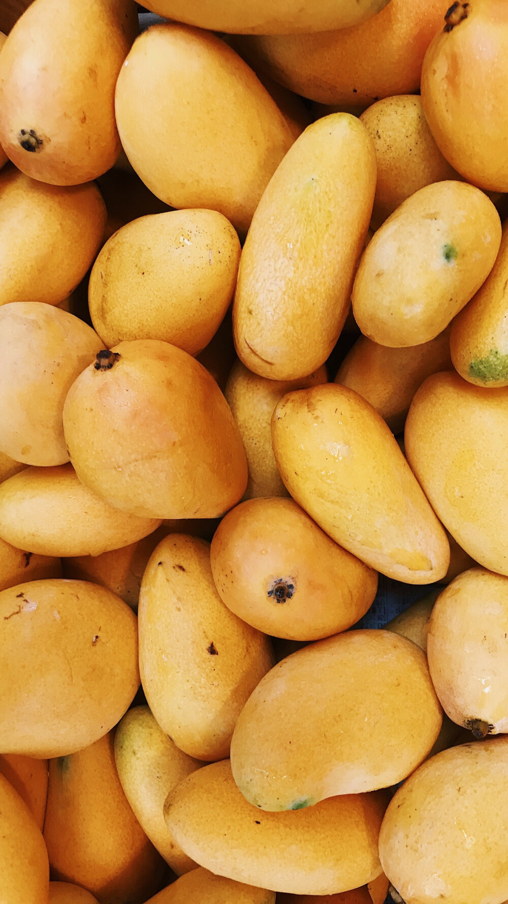 夏日大作战
水果贵一点也要吃丫