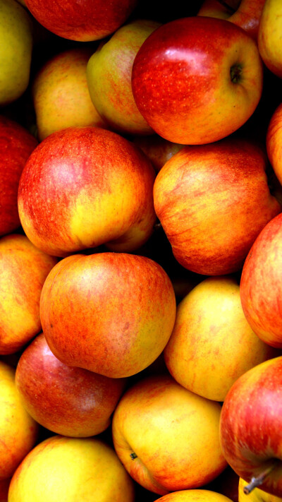 夏日大作战
水果贵一点也要吃丫