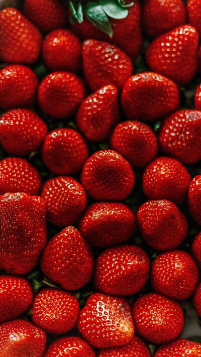 夏日大作战
水果贵一点也要吃丫