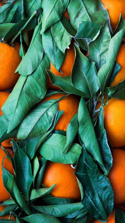 更新
❤夏日壁纸大作战