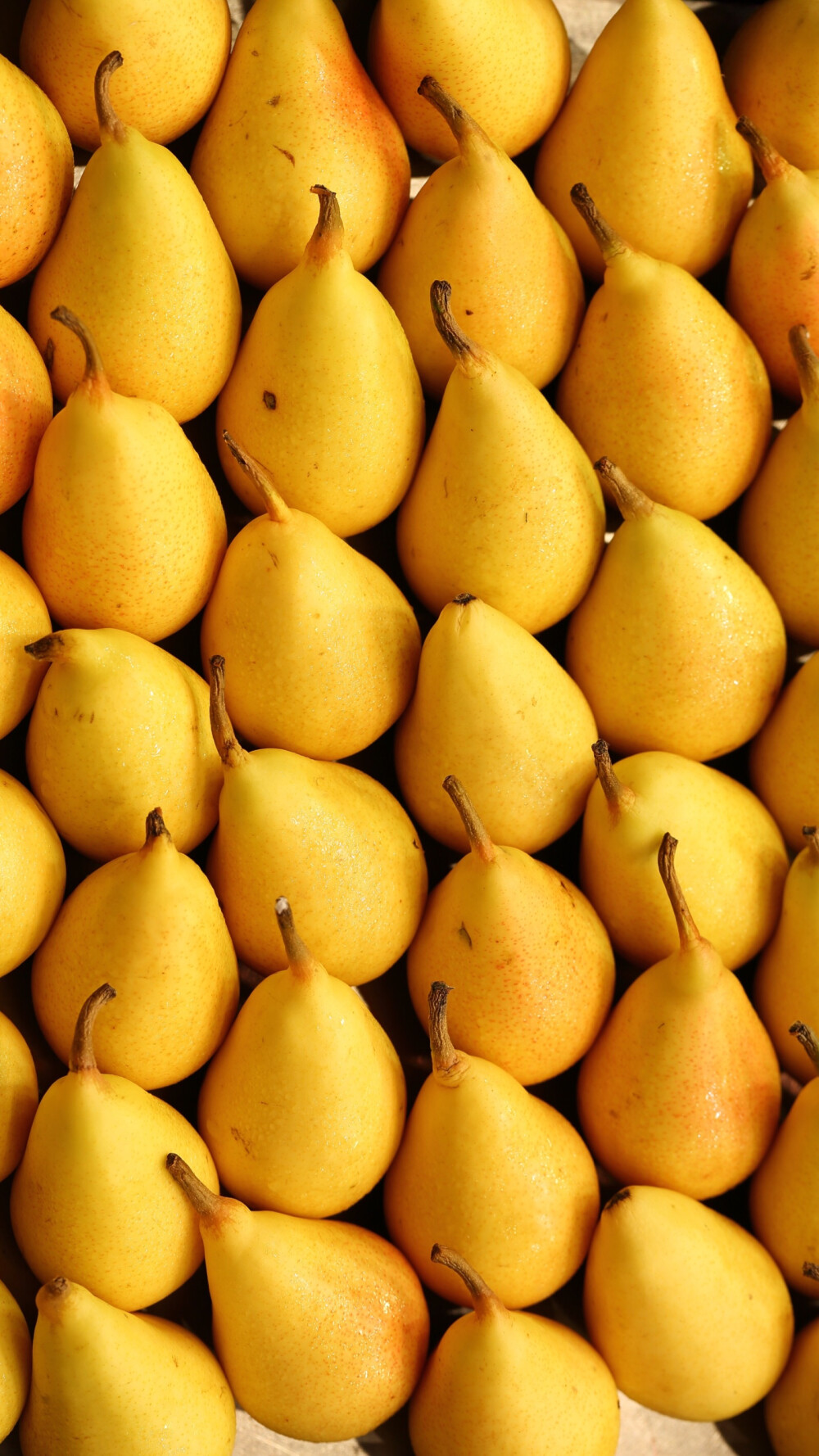 更新
❤夏日壁纸大作战