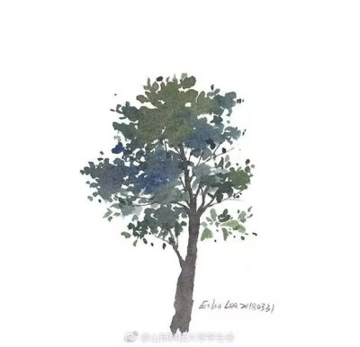 水彩树木素材