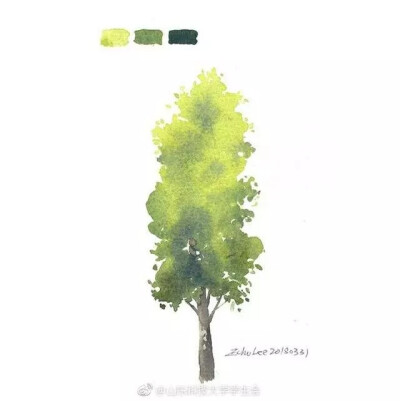 水彩树木素材