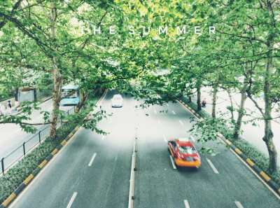 夏日，雨季，下了好久好久的雨，几乎天天都是打伞出门呢