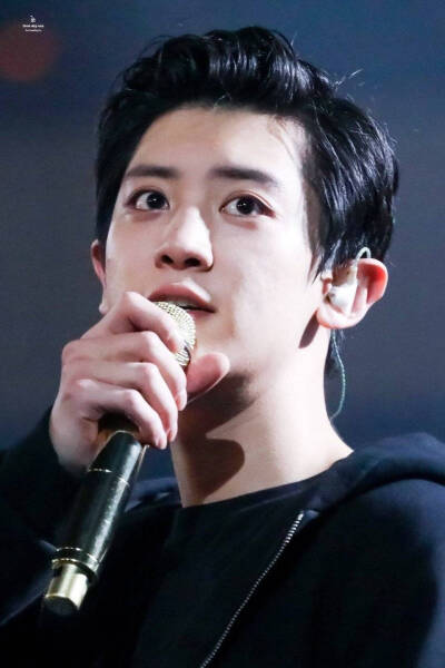 朴灿烈 EXO灿烈 CHANYEOL LOEY