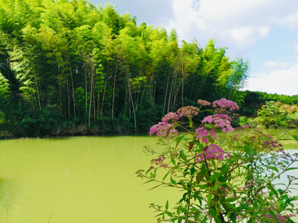 、风景