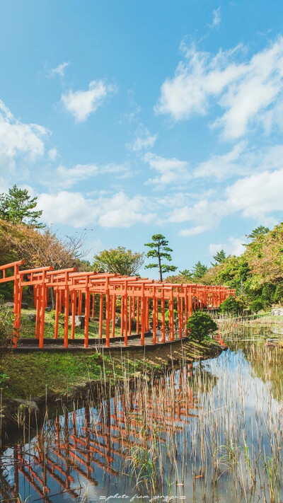 日系夏天