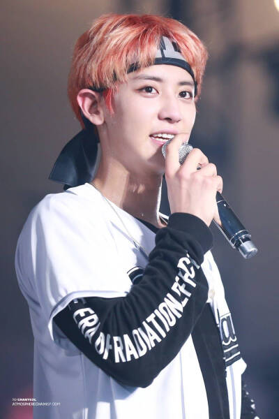 朴灿烈 EXO灿烈 Chanyeol LOEY