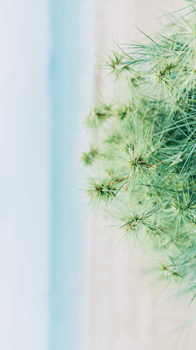 「平淡时光」
摄影:@一白山
#来拍一夏# ​