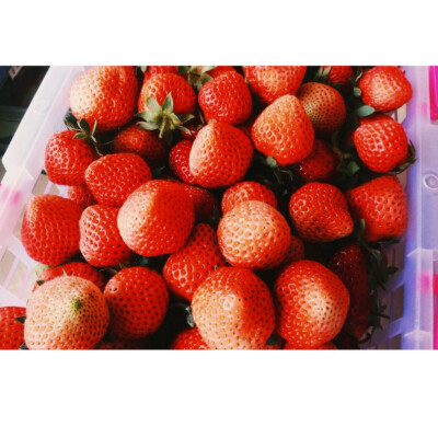 strawberries or cigarettes.