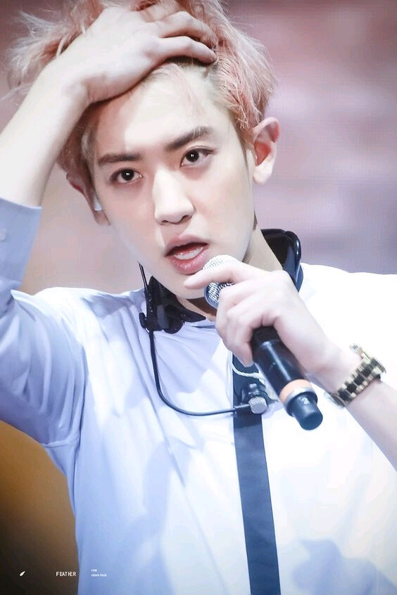 朴灿烈 灿烈 EXO Chanyeol LOEY