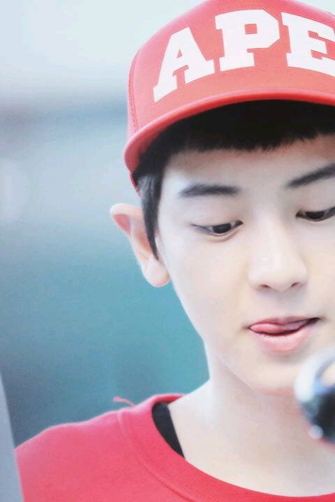 朴灿烈 灿烈 EXO Chanyeol LOEY