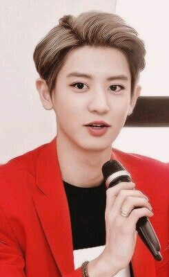 朴灿烈 灿烈 EXO Chanyeol LOEY