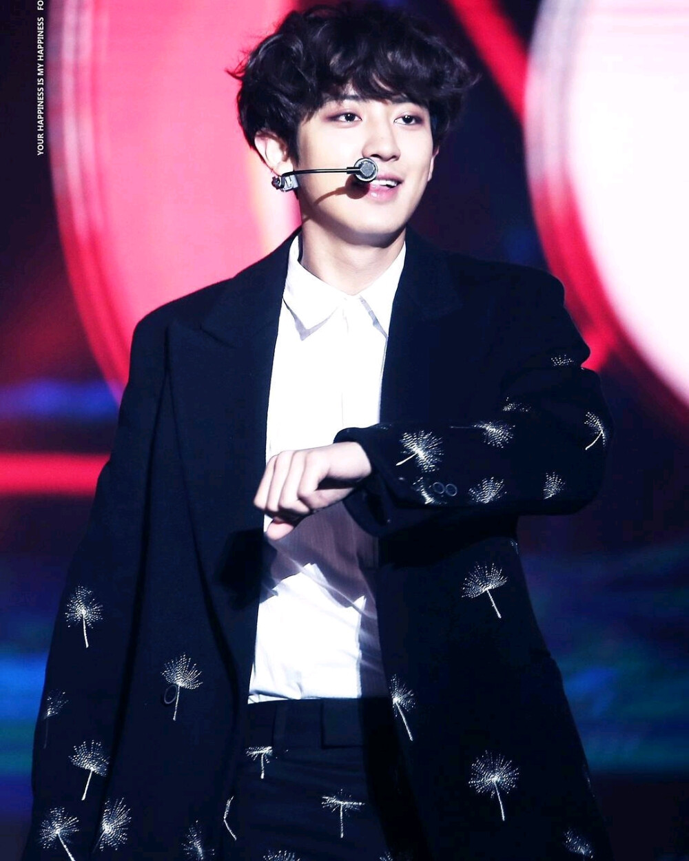 朴灿烈 灿烈 EXO Chanyeol LOEY