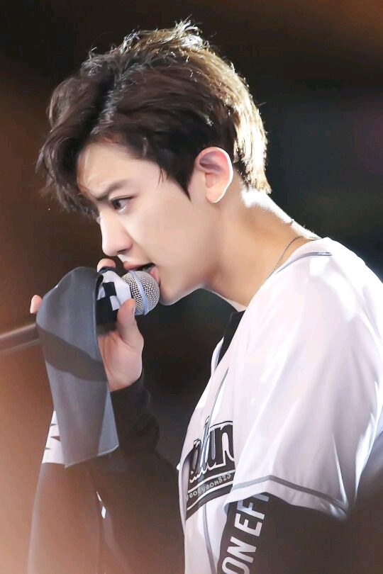 朴灿烈 灿烈 EXO Chanyeol LOEY