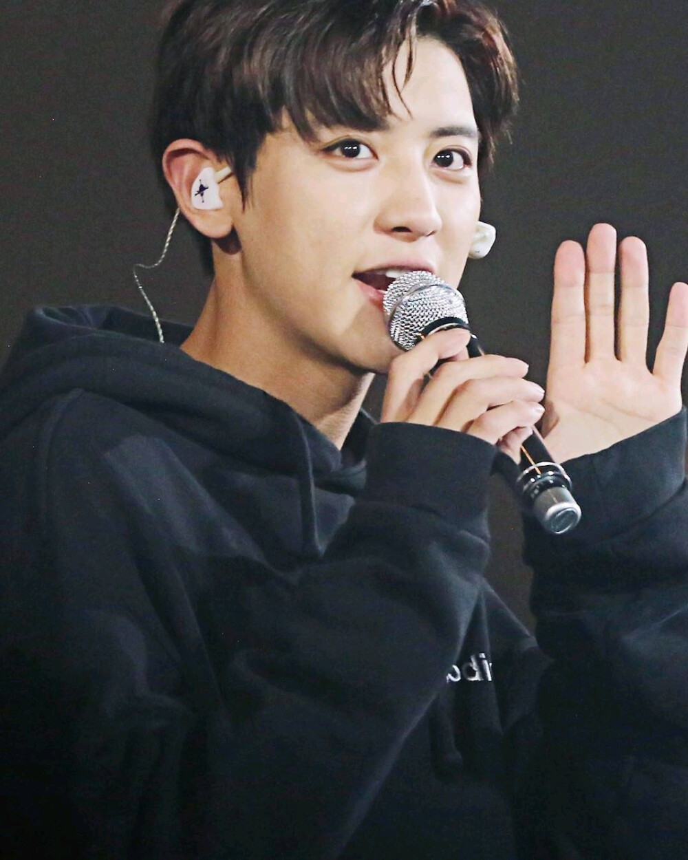 朴灿烈 灿烈 EXO Chanyeol LOEY