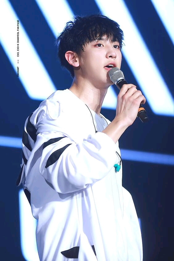 朴灿烈 灿烈 EXO Chanyeol LOEY