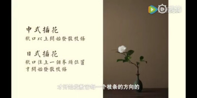 中式插花