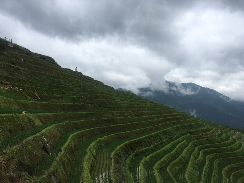 龙脊梯田