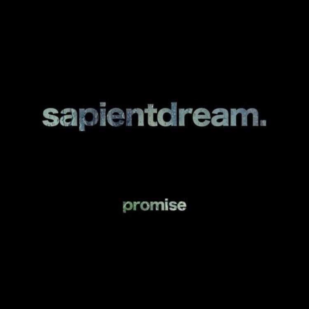 Promise-sapientdream
“我也会渐渐忘记你是谁”