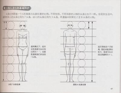 人体 画法