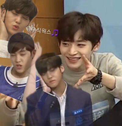 produceX101 404 表情包