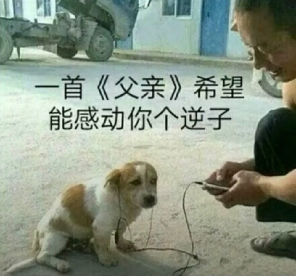 表情包