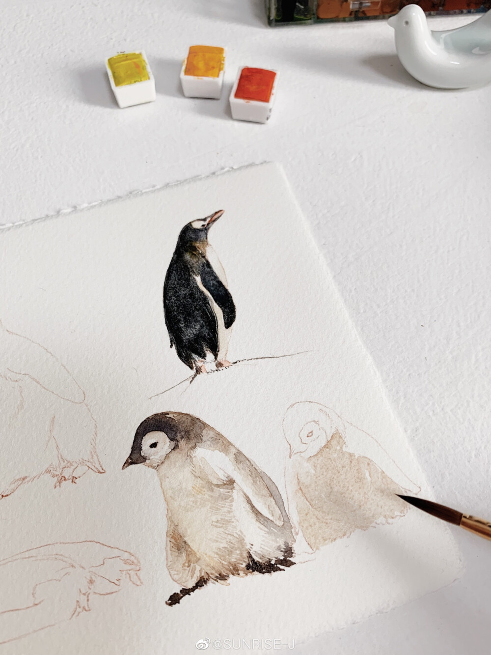 水彩企鹅