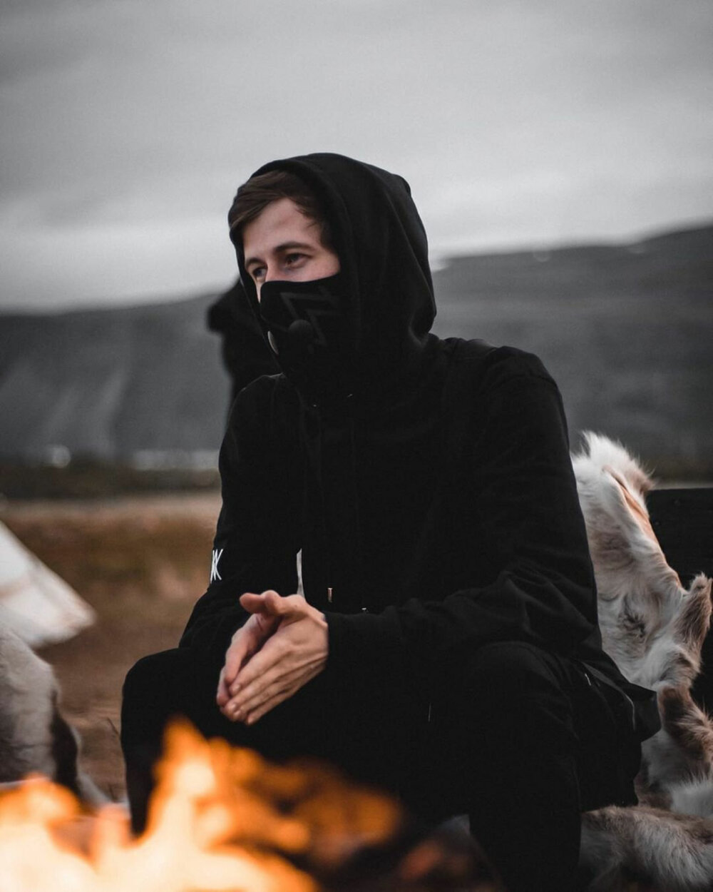 Alan Walker