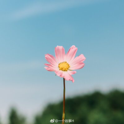 在冬季怀念夏季的阳光，在夏季想念冬季的雪，谁不是一边拥有一边失去
摄影@一个故事H
#恋上冬日##武汉# ​