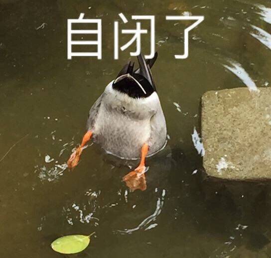 自闭