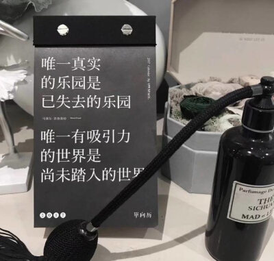 zhi治愈系
治愈，往往是最好的回忆
忘记他，学会治愈被伤害的自己