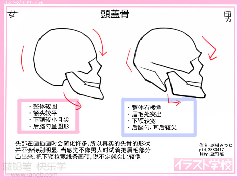 男女人体解析
